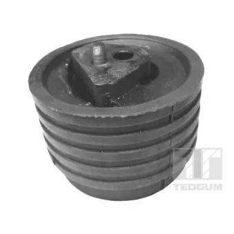 Support moteur TEDGUM 00614322