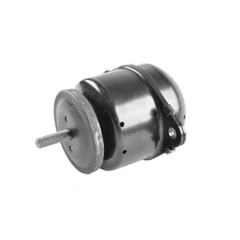 Support moteur avant droit TEDGUM 00619272