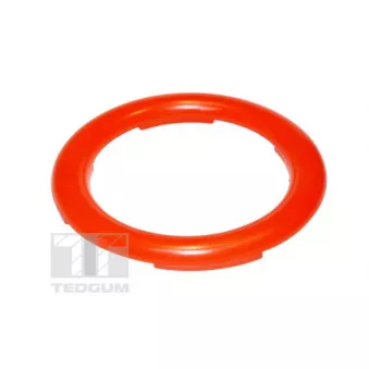 Patin de ressort TEDGUM 00649623