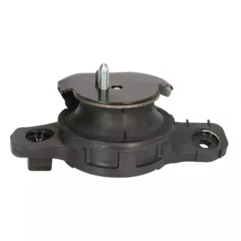 Support moteur avant droit TEDGUM 00649871