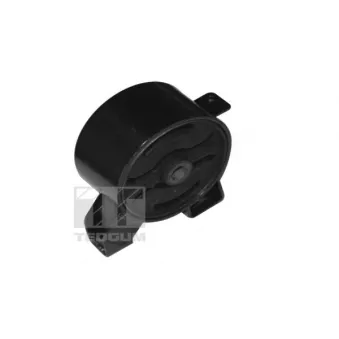 Support moteur TEDGUM 00651904