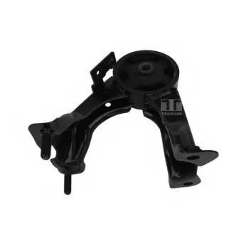 Support moteur TEDGUM 00672237