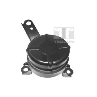 Support moteur avant droit TEDGUM 00672451