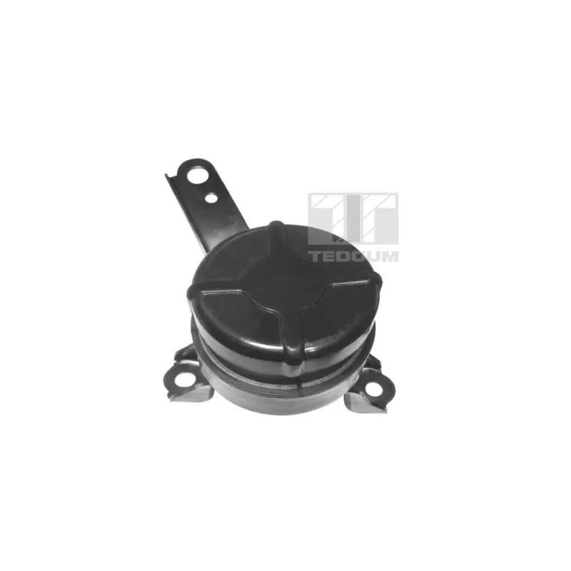 Support moteur avant droit TEDGUM 00672451