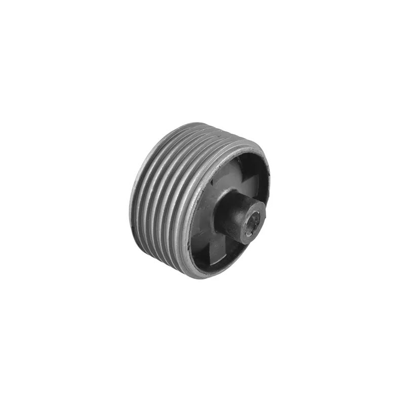 Support moteur TEDGUM 00672943