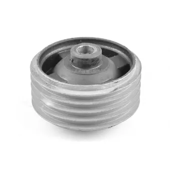 Support moteur TEDGUM 00673071