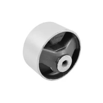 Support moteur TEDGUM 00674330
