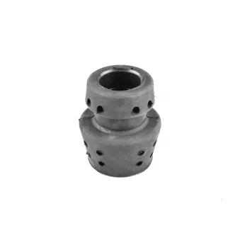 Support moteur TEDGUM 00723029