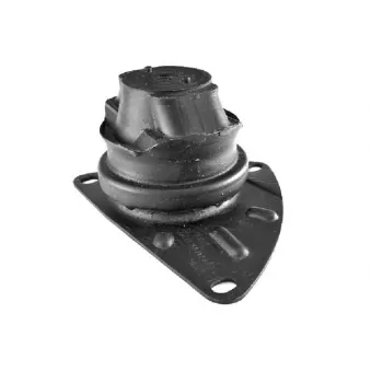 Support moteur avant droit TEDGUM 00723895