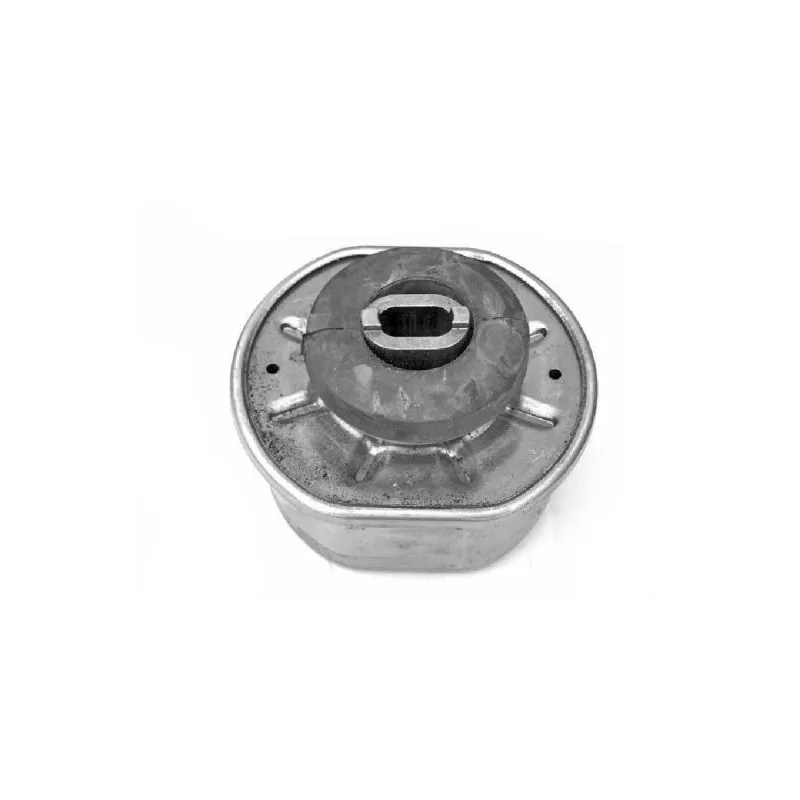 Support moteur TEDGUM 00725285