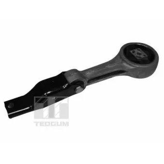 Support moteur TEDGUM 00725449