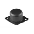 Support moteur avant gauche TEDGUM 00725574 - Visuel 1