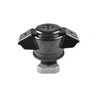 Support moteur TEDGUM 00725583