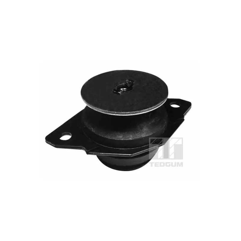 Suspension, support de boîte de vitesse manuelle TEDGUM 00725600