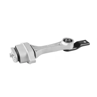 Support moteur TEDGUM 00725649