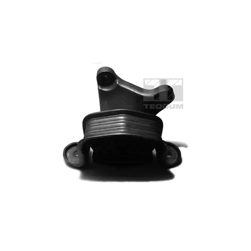 Suspension, support de boîte automatique TEDGUM 00725744