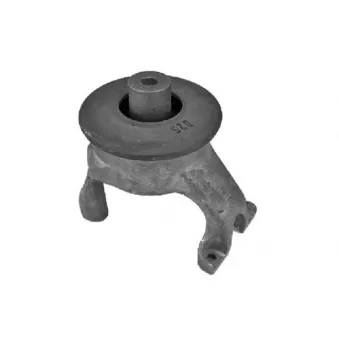 Support moteur TEDGUM 00725746