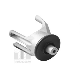 Support moteur TEDGUM 00725748