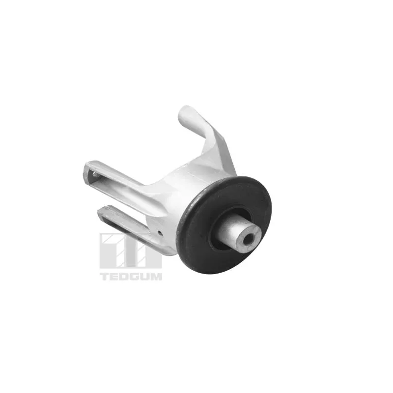 Support moteur TEDGUM 00725748