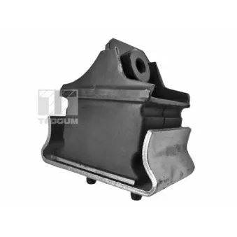 Support moteur TEDGUM 00726344