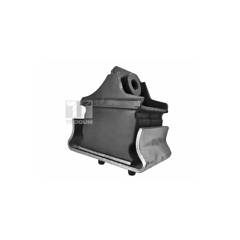 Support moteur TEDGUM 00726344