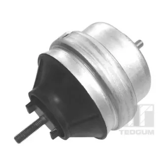 Support moteur avant droit TEDGUM 00726440