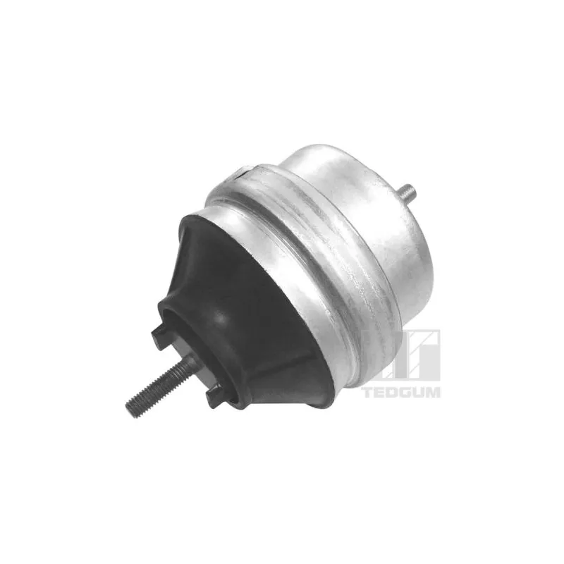 Support moteur avant droit TEDGUM 00726440