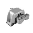 Support moteur avant gauche TEDGUM 00726464 - Visuel 1