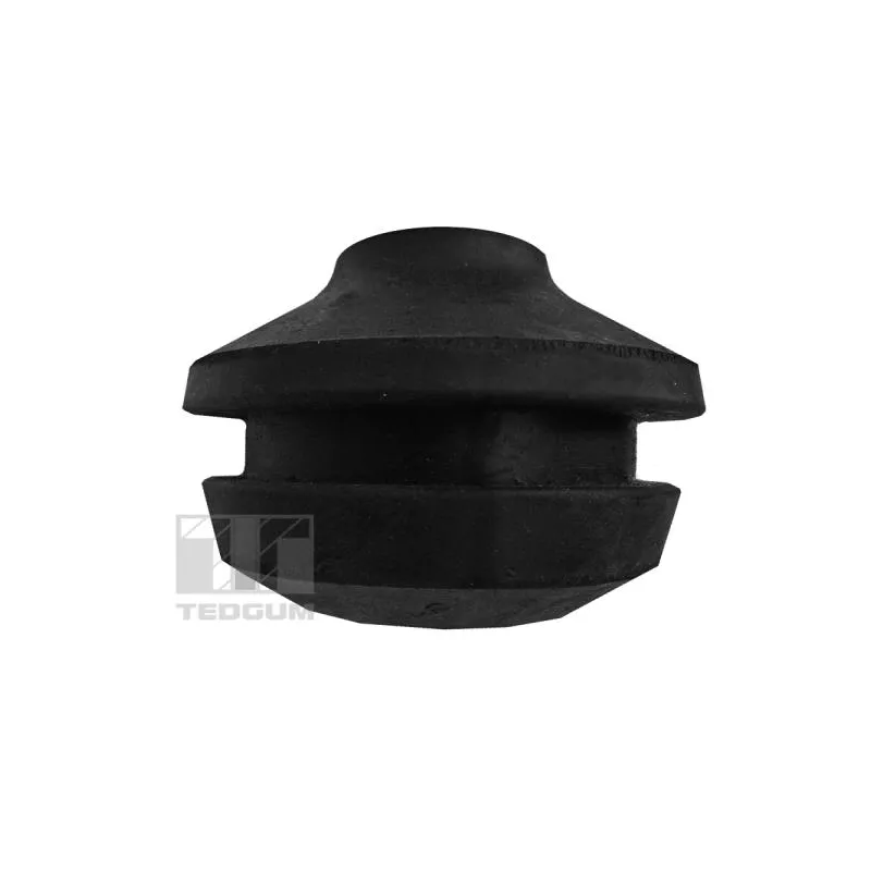 Support moteur avant gauche TEDGUM 00728182