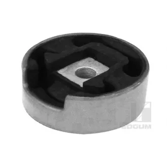 Support moteur TEDGUM 00728427