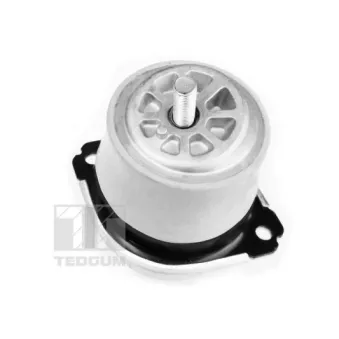 Support moteur TEDGUM 00728486