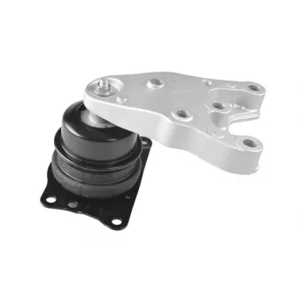 Support moteur avant droit TEDGUM 00729391