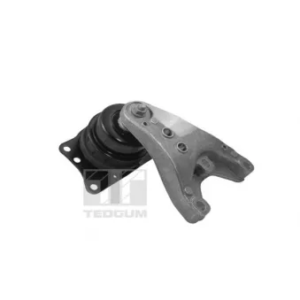 Support moteur avant droit TEDGUM 00729405