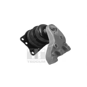 Support moteur avant droit TEDGUM
