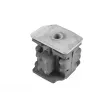 Support moteur TEDGUM 00740831 - Visuel 2