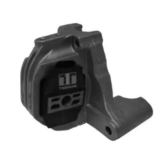 Support moteur TEDGUM 00743658