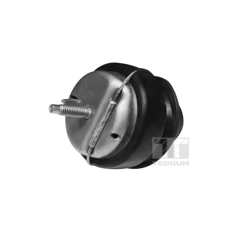 Support moteur TEDGUM 00745687