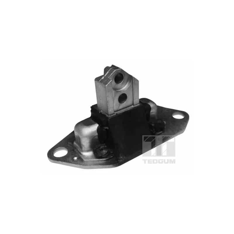 Support moteur avant droit TEDGUM 00745688
