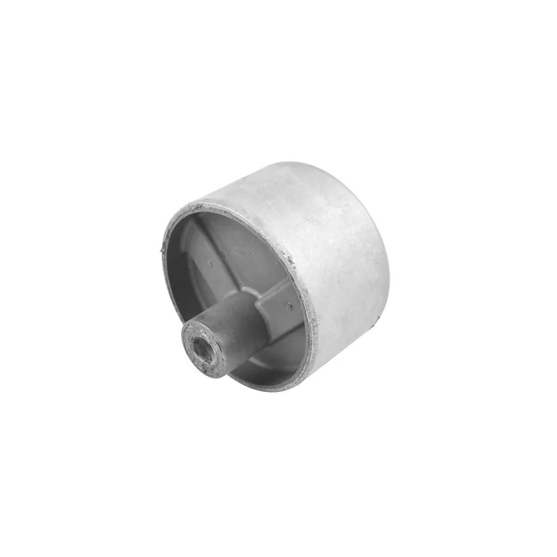 Support moteur avant droit TEDGUM 00747819