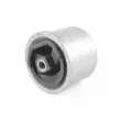 Support moteur avant droit TEDGUM 00749483 - Visuel 3