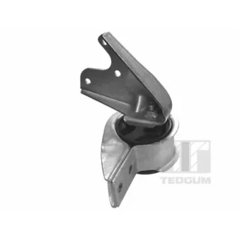 Support moteur arrière gauche TEDGUM 01004253