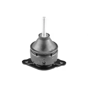Support moteur avant droit TEDGUM