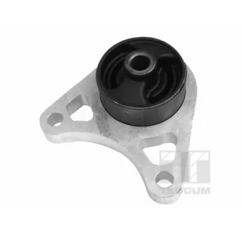 Suspension, Différentiel TEDGUM 01164615
