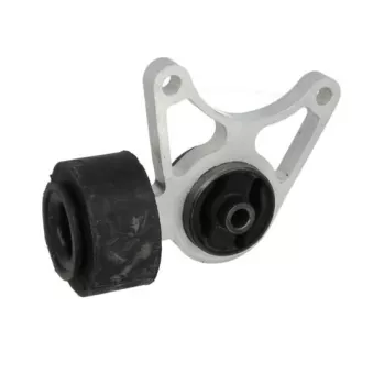 Suspension, Différentiel TEDGUM 01164617