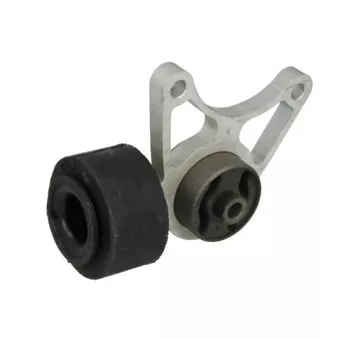 Suspension, Différentiel TEDGUM 01164618