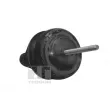 Support moteur TEDGUM TED11497 - Visuel 2