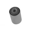 Suspension, ressort à lames TEDGUM TED20757 - Visuel 2