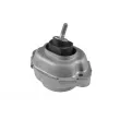 Support moteur TEDGUM TED21220 - Visuel 2