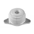 Support moteur TEDGUM TED25563 - Visuel 1