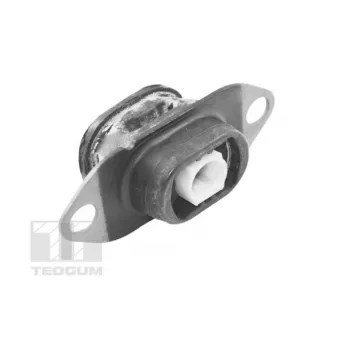 Support moteur avant gauche TEDGUM TED27774